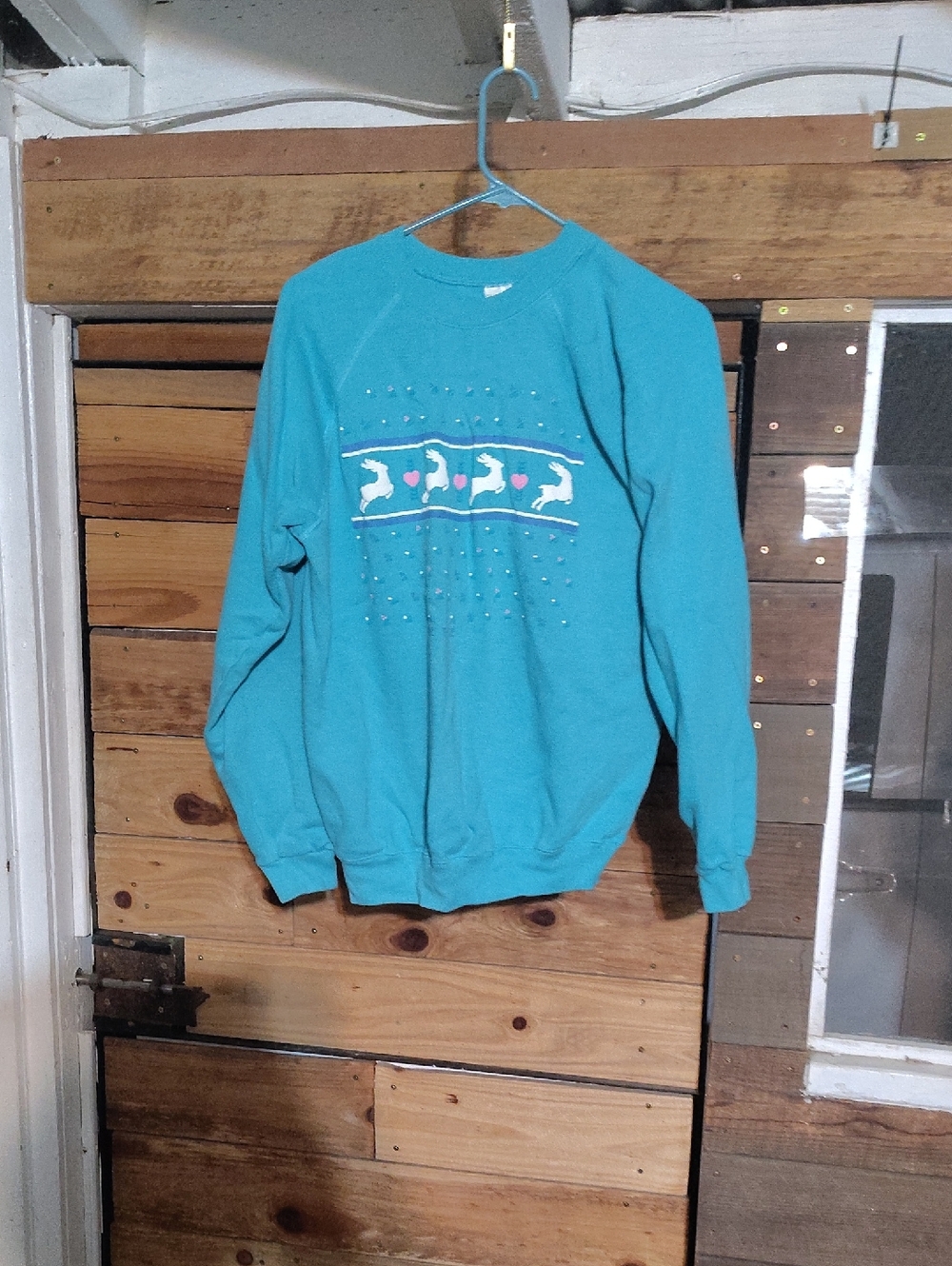 Hanes Turquoise Crewneck Sweatshirt with Dolphin Motif